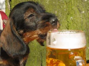 Xaver von Brennberg sagt Prost