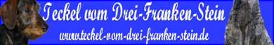 Teckel vom Drei-Franken-Stein
