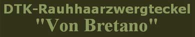 Rauhhaar-Zwergteckel von Bretano