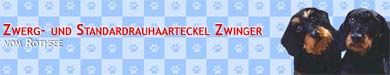 Zwerg- und Standardrauhaarteckel Zwinger vom Rothsee