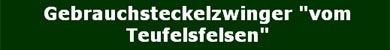 Gebrauchsteckelzwinger vom Teufelsfelsen