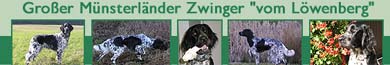 Zwinger vom L�wenberg